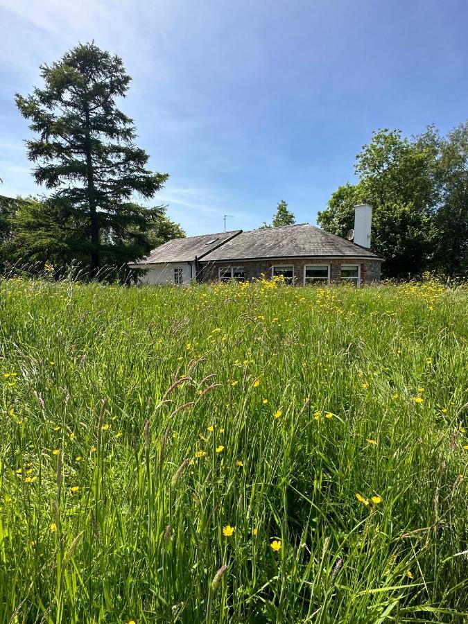 Balsoon Lodge Navan Eksteriør bilde
